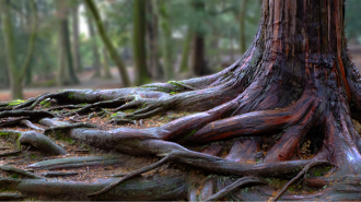 Samsung Galaxy Tab S10 FE