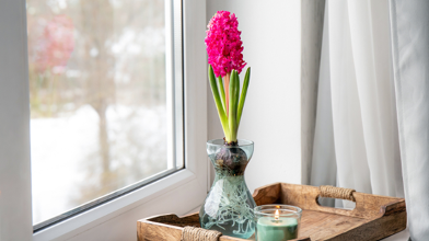 Samsung Galaxy Tab S10 FE