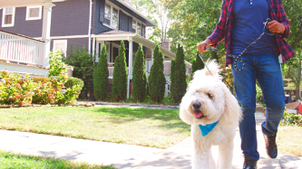 Samsung Galaxy Tab S10 FE