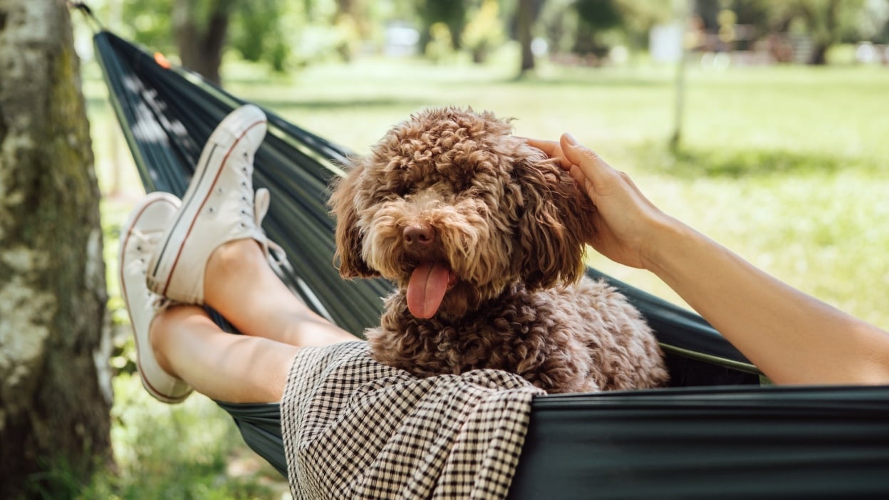 Samsung Galaxy Tab S10 FE