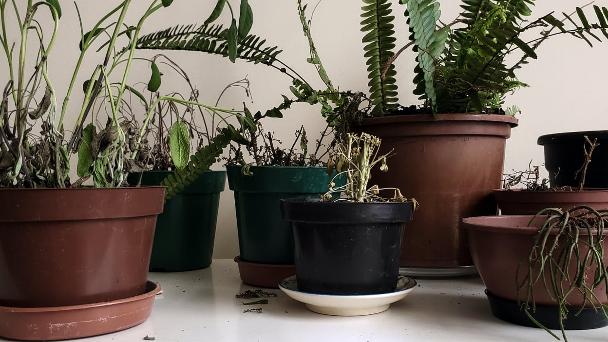 Samsung Galaxy Tab S10 FE