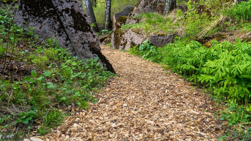 Samsung Galaxy Tab S10 FE