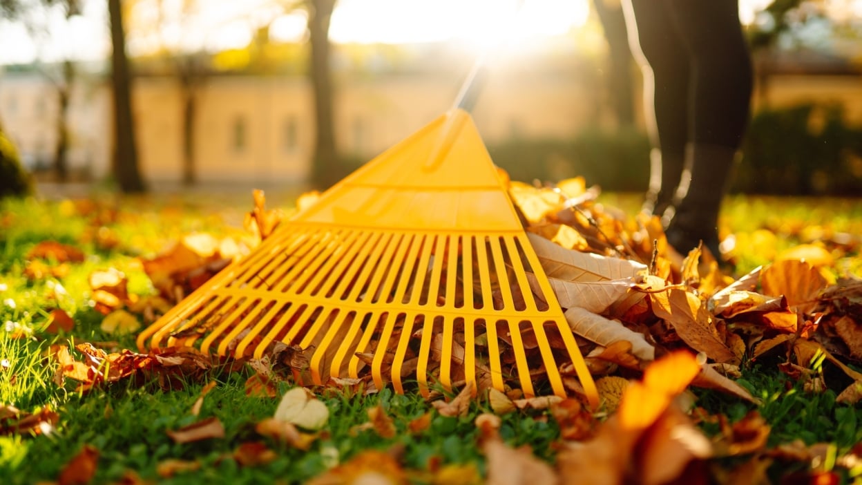 Samsung Galaxy Tab S10 FE