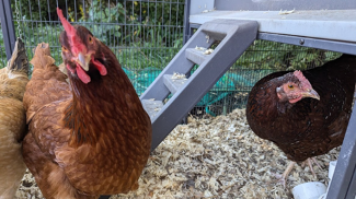 Samsung Galaxy Tab S10 FE