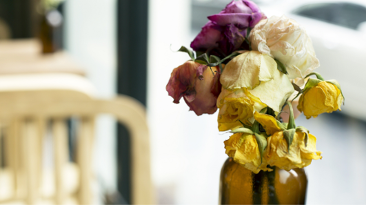 My Favorite Thoughtful Valentine’s Day Gifts (That Aren’t Flowers)