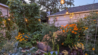 Samsung Galaxy Tab S10 FE