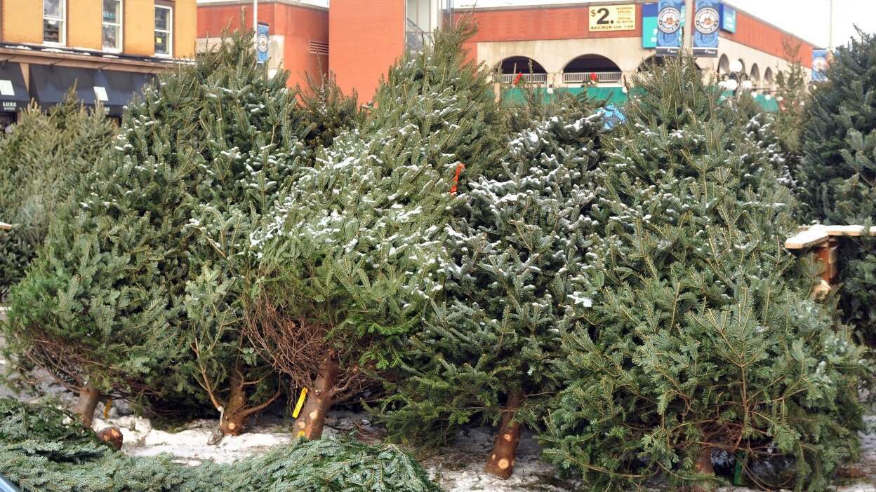 Samsung Galaxy Tab S10 FE