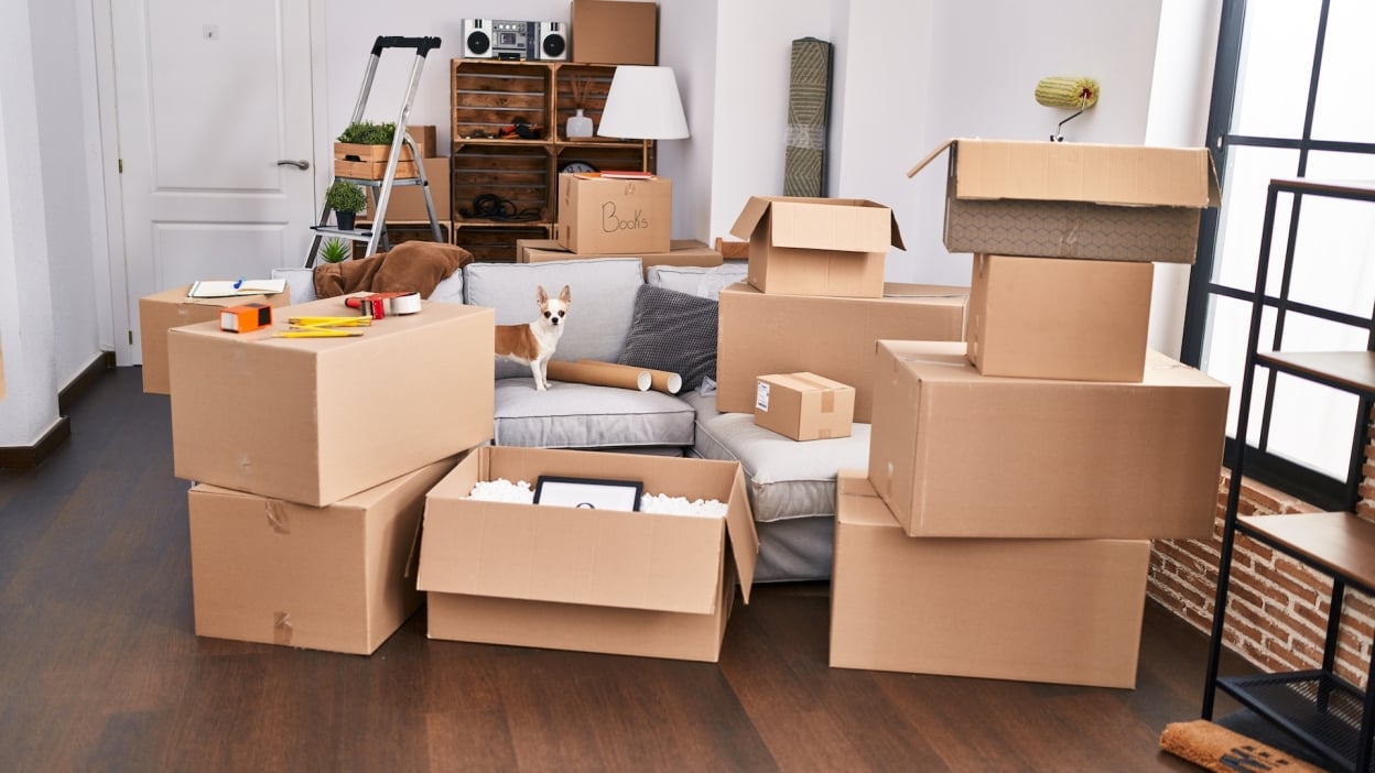 Samsung Galaxy Tab S10 FE