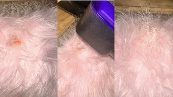 Samsung Galaxy Tab S10 FE