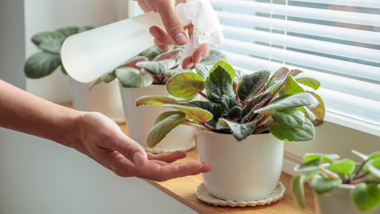 Samsung Galaxy Tab S10 FE