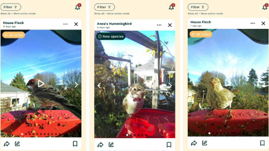 Samsung Galaxy Tab S10 FE