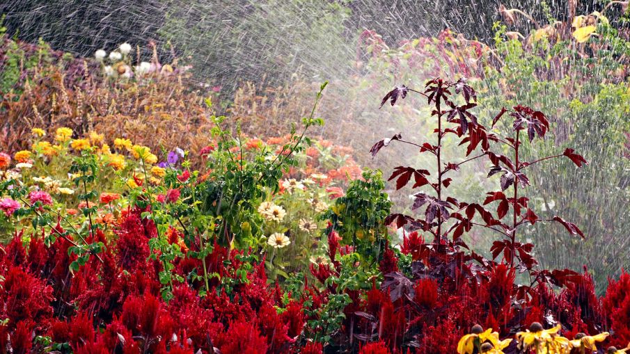 Samsung Galaxy Tab S10 FE