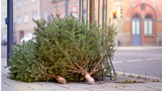 Samsung Galaxy Tab S10 FE