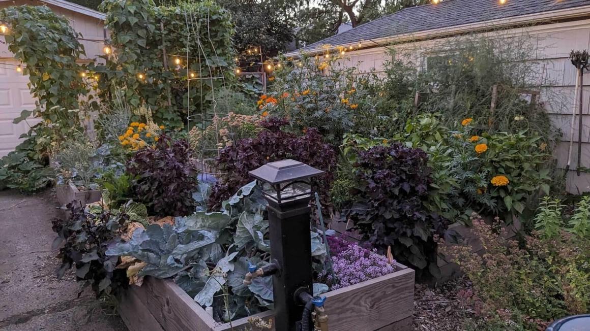 Samsung Galaxy Tab S10 FE