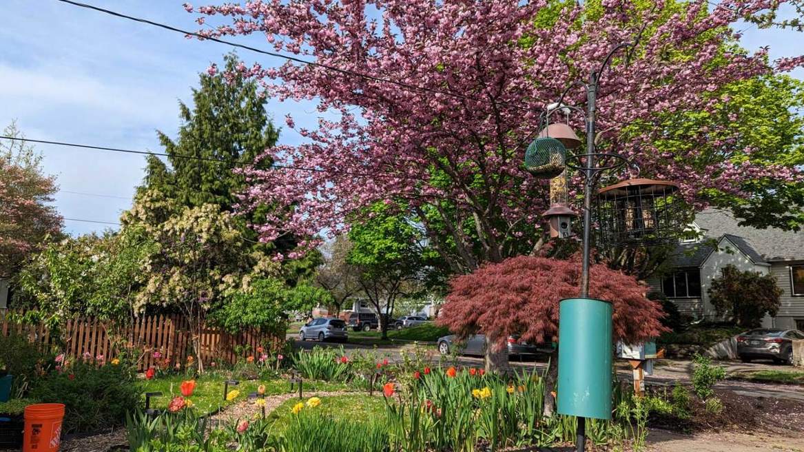 Samsung Galaxy Tab S10 FE