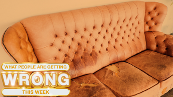 What People are Getting Wrong This Week: Couches, Dolphins, and JD Vance